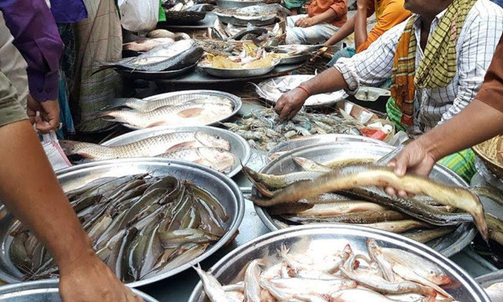 Fish Prices Soar, no varieties available below Tk 200/kg in Market